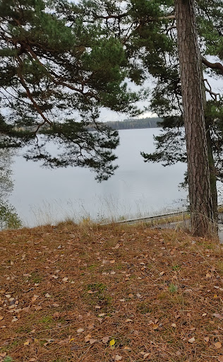Hönshylte Entrenchment