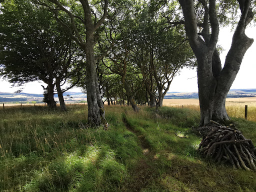 Old Keig Stone Circle - Thumbnail