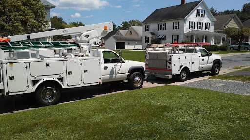 C&E Services - Visual