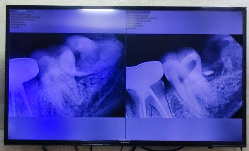 Gallery image 41