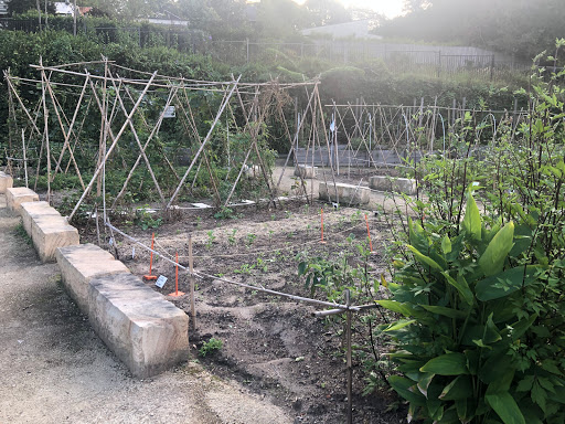 Artarmon Parklands Community Garden - Thumbnail