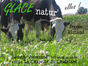 Photo n°6 de Glace RIMO - Cité Médiévale Pérouges à Pérouges (Restaurant de sundae)