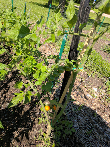 Rock River Community Garden - Thumbnail