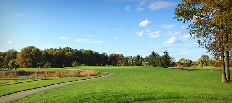 AF1QipP9xtFZsC6QFfknJFYqlzBNZP9zd2aaJmoymx H=w800 h500 k no