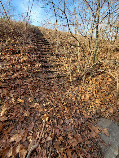 The Weldon Spring - Visual