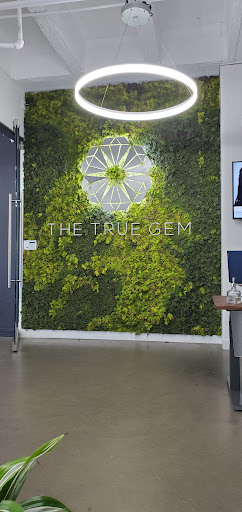 The True Gem - Visual
