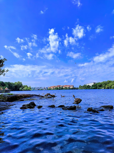 Långholmsparken Gallery - Sweden