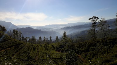 Photos of Queensberry Tea Factory