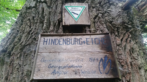 Naturdenkmal Hindenburgeiche