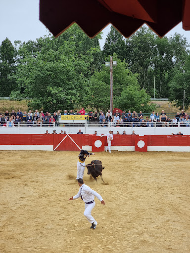 Arènes à Bégaar - Thumbnail