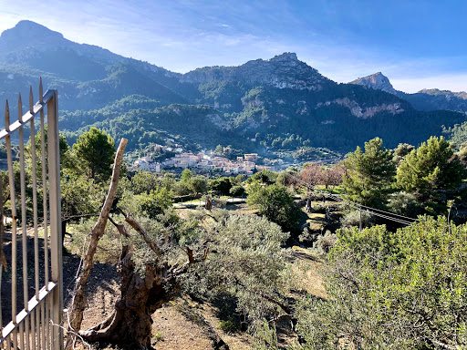 Sant Joan d'Estellencs - Thumbnail