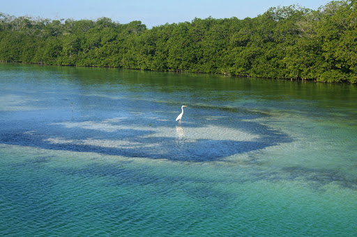 Victor's Fly Fishing Club Gallery - Mexico