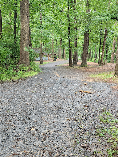 Parking Rock Creek Regional Park - Thumbnail