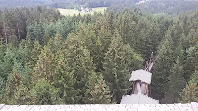 Photos of Baumkronenweg