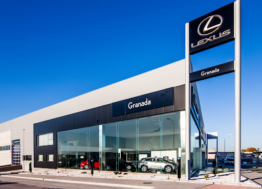 Lexus Granada - Visual