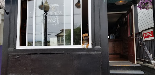 O'leary's - Visual