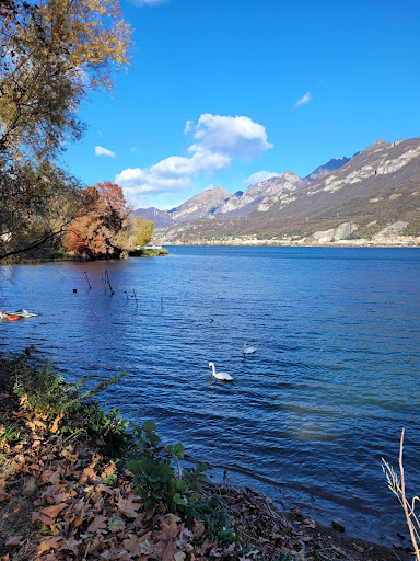BarLugani - Visual