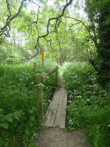 Ulverscroft Mill - Visual