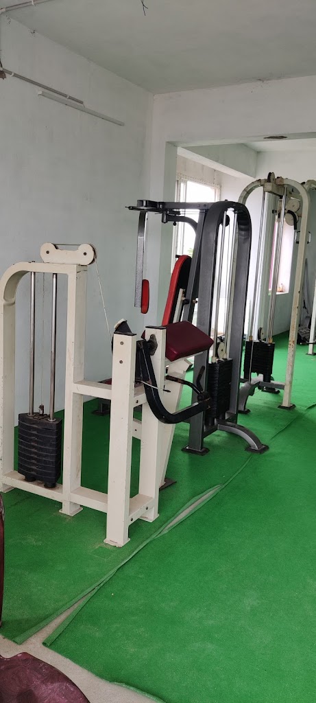 Muscle And Fitness Gym