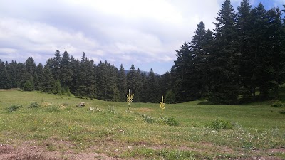 Photos of Gerede/Bolu