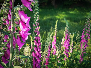 Photo n°27 de Au Bout du Monde à Nouhant (Agence de location de chalets)