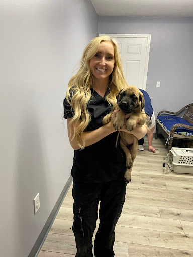 Lindquist Veterinary Center - Thumbnail