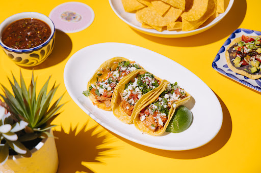 Wild Salsa - Visual