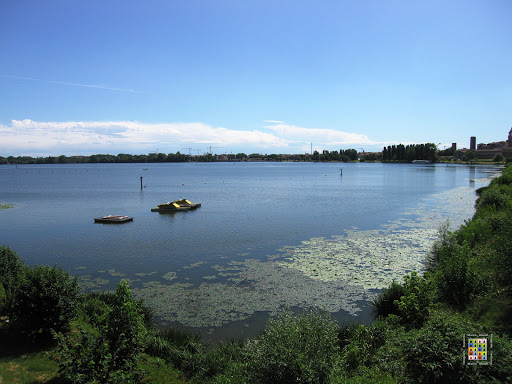 Mantova Export - Visual