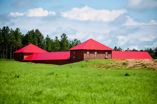 Camp Grace - Visual
