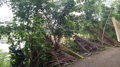Photos of Gobindupur Bazar