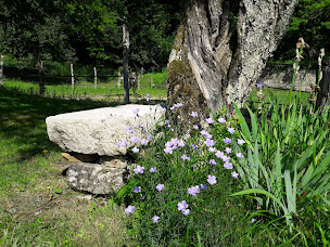 Photo n°11 de La maison du Rostaing à Passenans (Chambre d'hôtes)