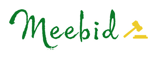 Meebid - Visual