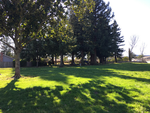 Solomon Park - Thumbnail