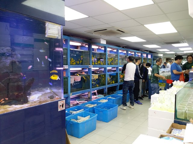 Goldfish Market