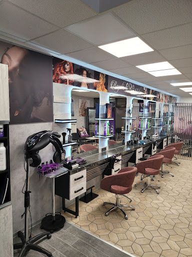 Royalssalon - Visual