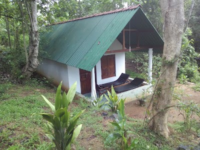 Photos of Green Hill Cottage