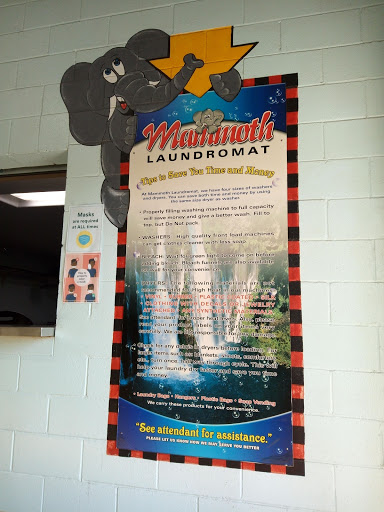 Mammoth Laundromat - Thumbnail