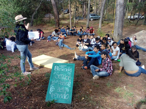Cabaña Huitzil