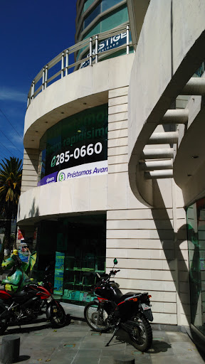 Dragons and Dinosaurs library