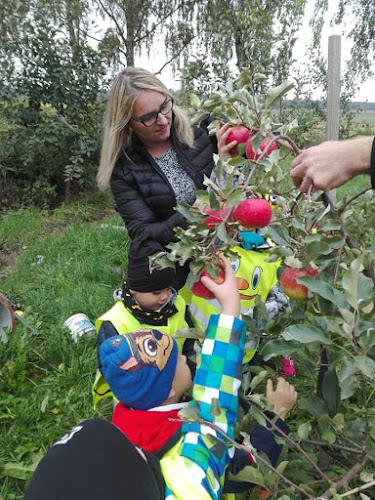 Tłocznia soków Piecki