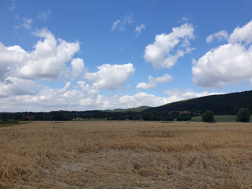 Friedhof Eisbergen, Stadt Porta Westfalica - Thumbnail