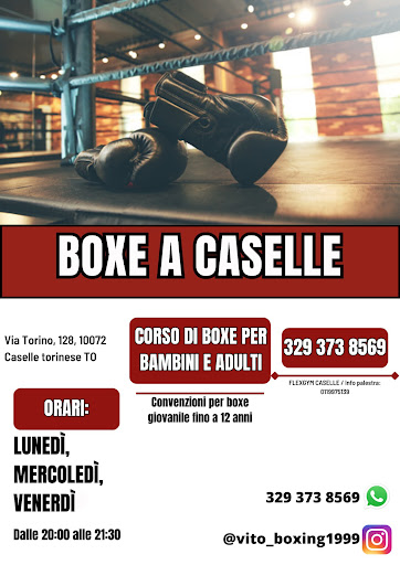 Boxe Caselle - Visual