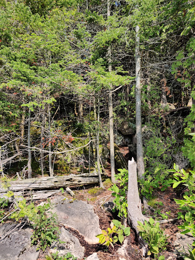 Little Dunks Bay Lookout - Thumbnail