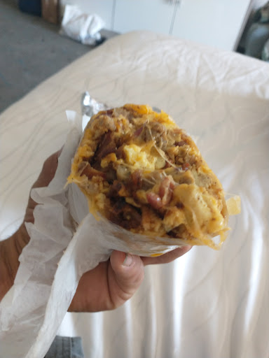 THE BITE'S ON - Visual