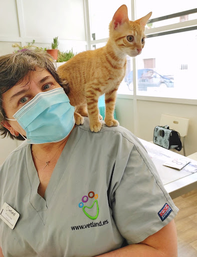 Vetland - Especialidades Veterinarias