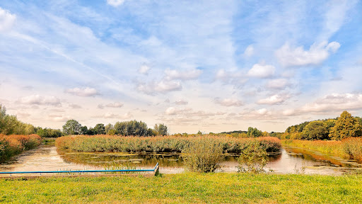 Schellerpark - Visual