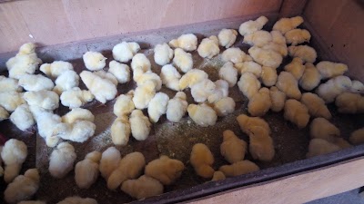 Photos of Huerto del cura - End&eacute; logement