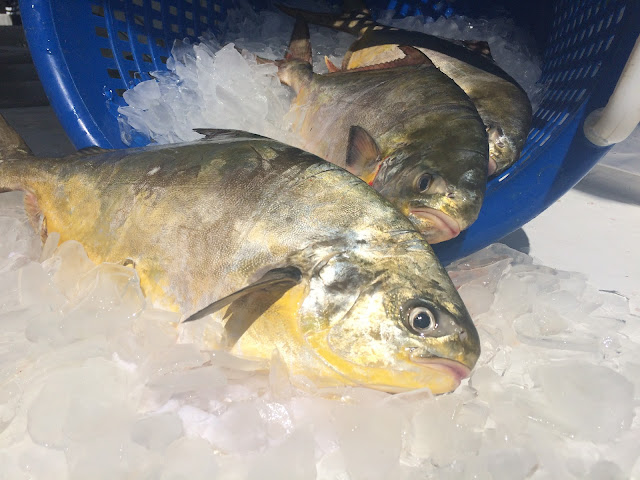 Potter's Seafood by null