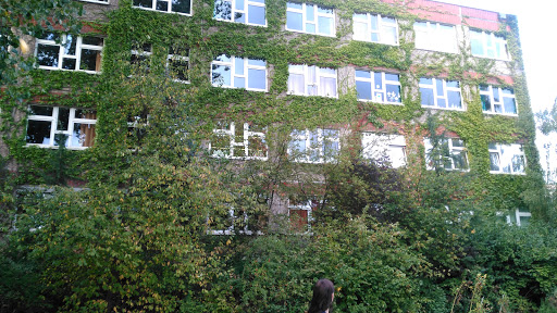 Falken-Grundschule - Thumbnail