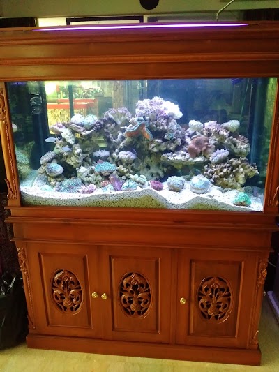 Photos of CV Mandiri Aquarium